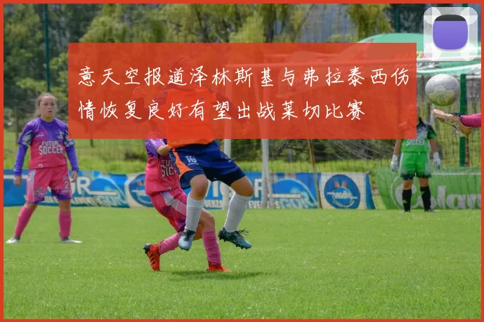 意天空报道泽林斯基与弗拉泰西伤情恢复良好有望出战莱切比赛